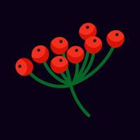 Cluster of vibrant red berries on a green stem against a dark background vector