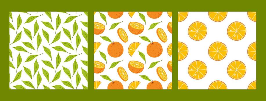 Colorful citrus patterns featuring oranges and leaves on a vibrant background vector