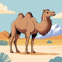 Camel standing in desert landscape with mountains and plants. vector