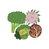 Different Cabbage Varieties Fresh Vegetable, Organic Nutritious Vegetarian Food for Healthy Diet Illustration vector