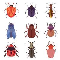 Collection of Bugs and Beetles, Various Insects Species Top View Illustration vector