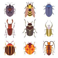 Collection of Various Insects Species, Bugs, Beetles, Wasp, Top View Illustration vector