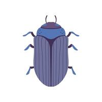 Scarab Beetle Insect, Bug Top View Illustration vector