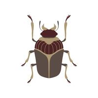 Bug Beetle Insect Species Top View Flat Illustration vector