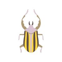 Striped Beetle Insect, Bug Top View Flat Illustration vector