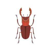 Beetle Deer Insect Species Top View Illustration vector
