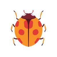 Ladybug Beetle Insect, Bug Top View Flat Illustration vector