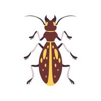 Beetle Insect, Yellow and Brown Bug Top View Flat Illustration vector