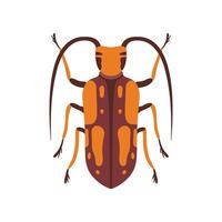 Beetle Insect, Orange and Brown Bug Top View Flat Illustration vector