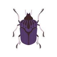 Beetle Insect, Blue and Black Bug Top View Flat Illustration vector