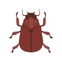 Beetle Insect, Brown Bug Top View Illustration vector