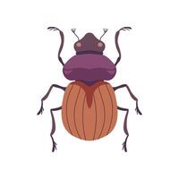 Beetle Bug Insect Species Top View Flat Illustration vector