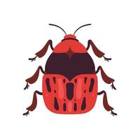 Red Bug Soldier Insect, Top View Illustration vector