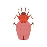 Red Beetle Insect, Bug Top View Illustration vector