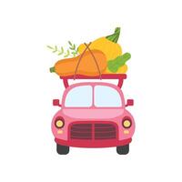 Cute Pink Car with Zucchini and Squash, Front View, Food Delivery, Shipping of Fresh Garden Vegetables Illustration vector