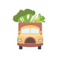 Cute Truck Delivering Fresh Giant Broccoli and Chinese Cabbage, Front View, Shipping of Garden Vegetables Illustration vector