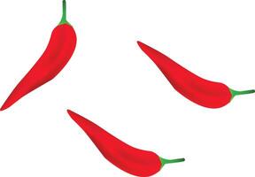 Red chili pepper vector