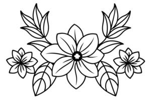 Floral line art illustration featuring abstract botanical themed patterns vector