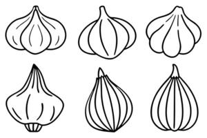 Garlic Line Art Illustration Blending Traditional Art with Contemporary Trends vector