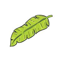 Banana Leaf Colorful Icon Illustration vector