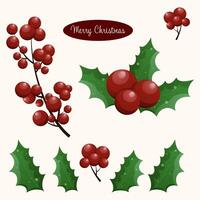 Set of Christmas illustrations. Twig, leaf and holly berries. Traditional holiday element. illustration. Icons, collection for graphic design. vector