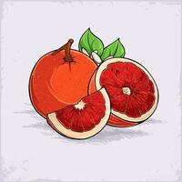Hand drawn set of fresh juicy full and cut out sliced blood orange, rich of vitamins good for health vector