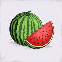 Hand drawn juicy fresh organic green watermelon with a red slice and black seeds full of vitamins vector