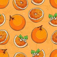 Hand drawn seamless pattern of set of fresh juicy full and cut out sliced orange, rich of vitamins vector