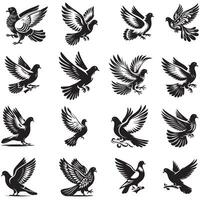Set of pigeon silhouette vector