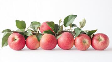 Freshly Picked Apples Isolated on White Background photo