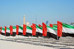 General view of the flags and the mosque in the background photo