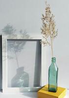 Dried grass stem in a green glass bottle with frame and shadows photo
