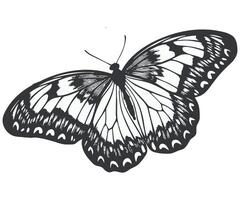 Silhouette of a butterfly with decorative wings. vector