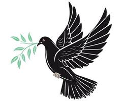 A black dove with an olive branch in its beak vector