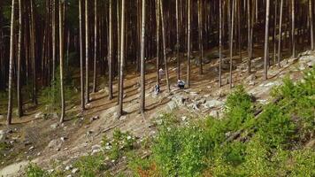 Small group of tourist exploring summer forest. Footage. Hikers on the forested slope. video
