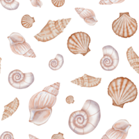 Seashell Pattern on isolated background. Hand drawn vintage watercolor seamless ornament with Sea Shells for wrapping paper or textile in nautical style. Underwater illustration with cockleshell. png