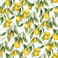 Seamless pattern with watercolor illustration of Lemon or Lime. Hand painted lemon branche with green leaves on white isolated background for juice label or icon. png
