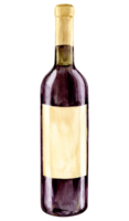 Watercolor red wine bottle with old paper label. Hand drawn clipart of alcoholic drink for party and event. Illustration for tasting, menu, cafe, bar, posters and wine list design. png