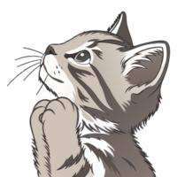 un gatito con sus patas descansando en sus mentón, mirando hacia arriba con un pensativo png