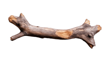 Natural Brown Branch with Textured Surface on Transparent Background png