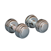 Silver dumbbells with shiny surface on transparent background png