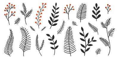 Hand drawn set evergreen tree branches. Conifer black branches isolated on a white background. Minimalistic linear elements vector
