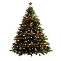A christmas tree with ornaments on it png