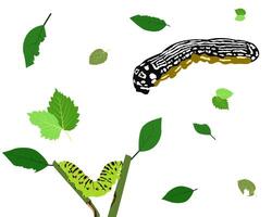 illustration of a caterpillar eating a leaf, celebrating spring. Its cheerful expression and animated pose evoke curiosity and wonder, perfect for cartoon-style illustrations or stories. vector