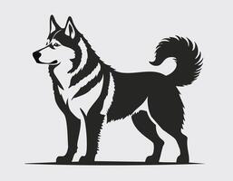 a black and white dog standing on a white background vector
