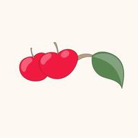Two cherries on a branch with leaves vector