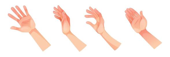 set of different human hand gestures on white background. Hand, wrist and fingers. Hands in different situations, gesticulation, hand gestures, finger movements, signals and signs. vector