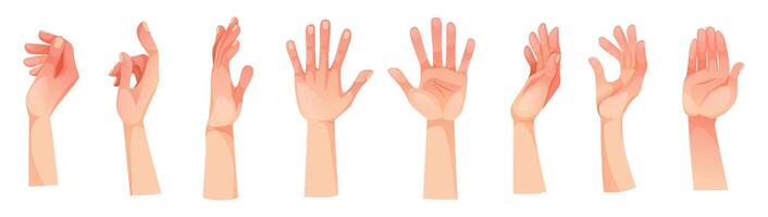 set of different human hand gestures on white background. Hand, wrist and fingers. Hands in different situations, gesticulation, hand gestures, finger movements, signals and signs. vector