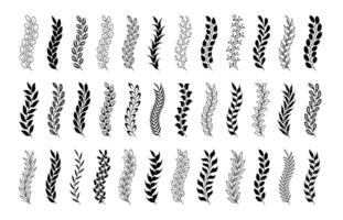 Wheat ears icons. Oat and wheat grains set isolated on transparent background. Hand drawn floral vintage wreaths. Abstract flat elements collection. Flora leaf branch plant for frame border ornament vector