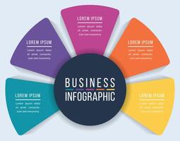 5 Steps infographic design for business information vector